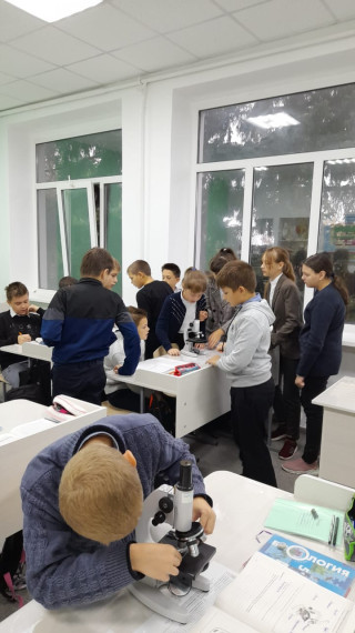 В "Точке роста" МАОУ "СОШ № 8" продолжаются учебные эксперименты и исследования по биологии с применением цифровых лабораторий.